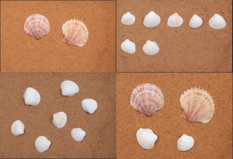 2,7 and 4 shells to subitise 