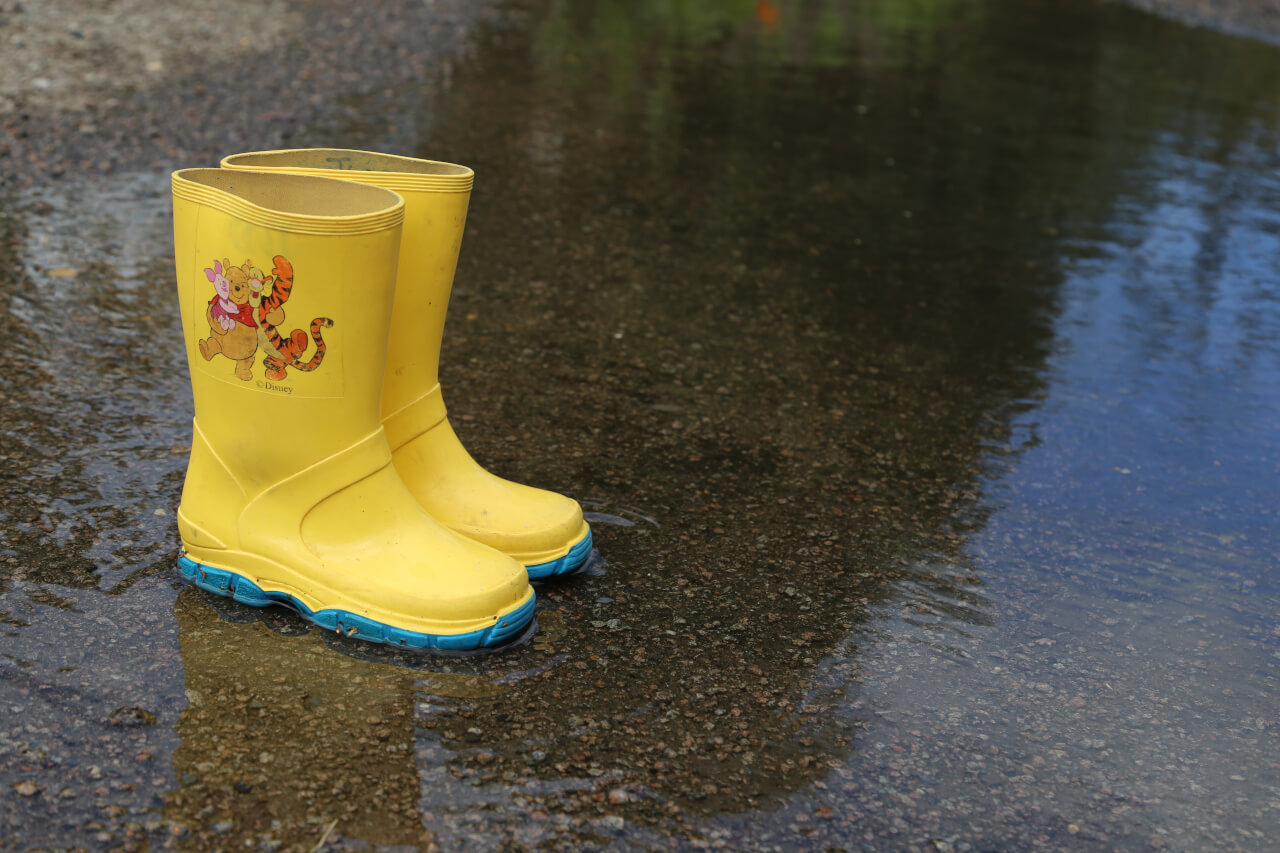 two wellington boots, one pair